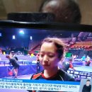 해피스타데이 Daum카페