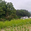 고동영행정사 사무소 이미지