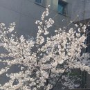 경원치과의원 이미지