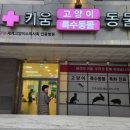 키움 동물병원 이미지