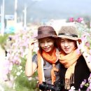 하늘꽃민박 이미지