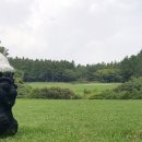 오라관광(주) 제주그랜드호텔 이미지