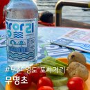 무명초 | 부산 영도 포장마차거리, 무명초 내돈내산 후기