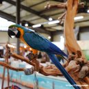 금마3농장 이미지