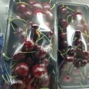 부일농장 이미지