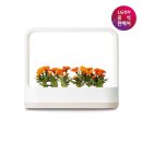 고모텍㈜ 이미지