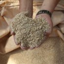 보리마당협동조합 이미지