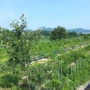 옥천농장 이미지