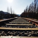 항동시장 이미지