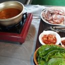 힐링퍼피 이미지