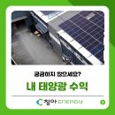 브니엘의집 태양광발전소 | 매달 XX만원이 통장에! 태양광수익 진짜 가능한 이유