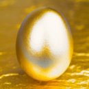 상업용 73 | ① 경주 여행 2박 3일 브이로그｜황리단길·동궁과월지·경주박물관 솔직 후기 (+교통 팁)