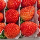 M할인마트정육점 | 홍대마트24시 후기 | 정육점 과일 다 있는 홍대 대형 마트 추천