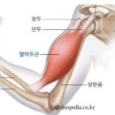 핏-타운 이미지