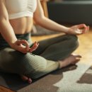 요가초급반 이미지