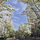 유가초등학교 앞 이미지