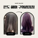 펫실장 광장점 | 온도 헤어 구의 광장점/구의동 미용실 추천/강변역 미용실/ 퍼스널 시술
