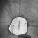 파크동물의료센터 이미지