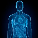 기초근력운동 이미지