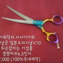애견미용가위구매 후기! 가위닥터사사끼가위