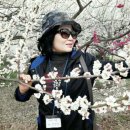 가은7호 이미지