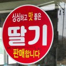 은주농장 이미지