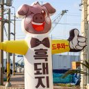 정자로상회 이미지