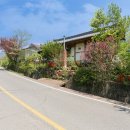 멀구슬민박 이미지