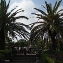 성산농원 이미지