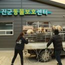 울진동물병원 이미지