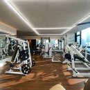 지와이 피티 이미지