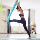 요가(초급) 이미지