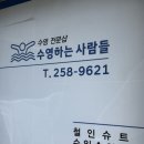 수영하는사람들