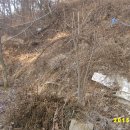 장씨농장 이미지