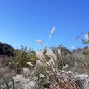 목골농장 이미지