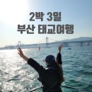 투썸플레이스 송도해수욕장점 | 3월 중순 부산 태교여행│ 2박 3일 코스 추천 및 비용