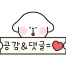 음성 힐데스하임CC 이미지