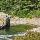 울진숲속의산장펜션 이미지