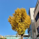 더행복약국 이미지