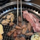 전설의참숯통갈매기