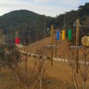 부례관광지 이미지