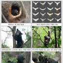 공존 이미지