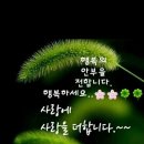콩불연구소