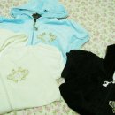 베이비펫 이미지