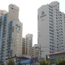 큰나무온누리약국 이미지