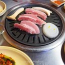 떳다돼지마을