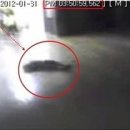 <b>포스트</b> <b>쉐어</b>