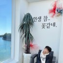 이더라 - 서구 옥빛로13번길 7 | 여수 바다뷰 카페 추천｜카페 이더 후기 – 한적한 화양면 오션뷰+루프탑 감성