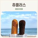 인생 츄러스 등극한 부산 송정해수욕장 찹쌀 츄러스 맛집 츄플러스 내돈내산 후기_리얼 초코, 황치즈
