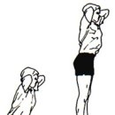 GYM ANABOLIC Daum카페